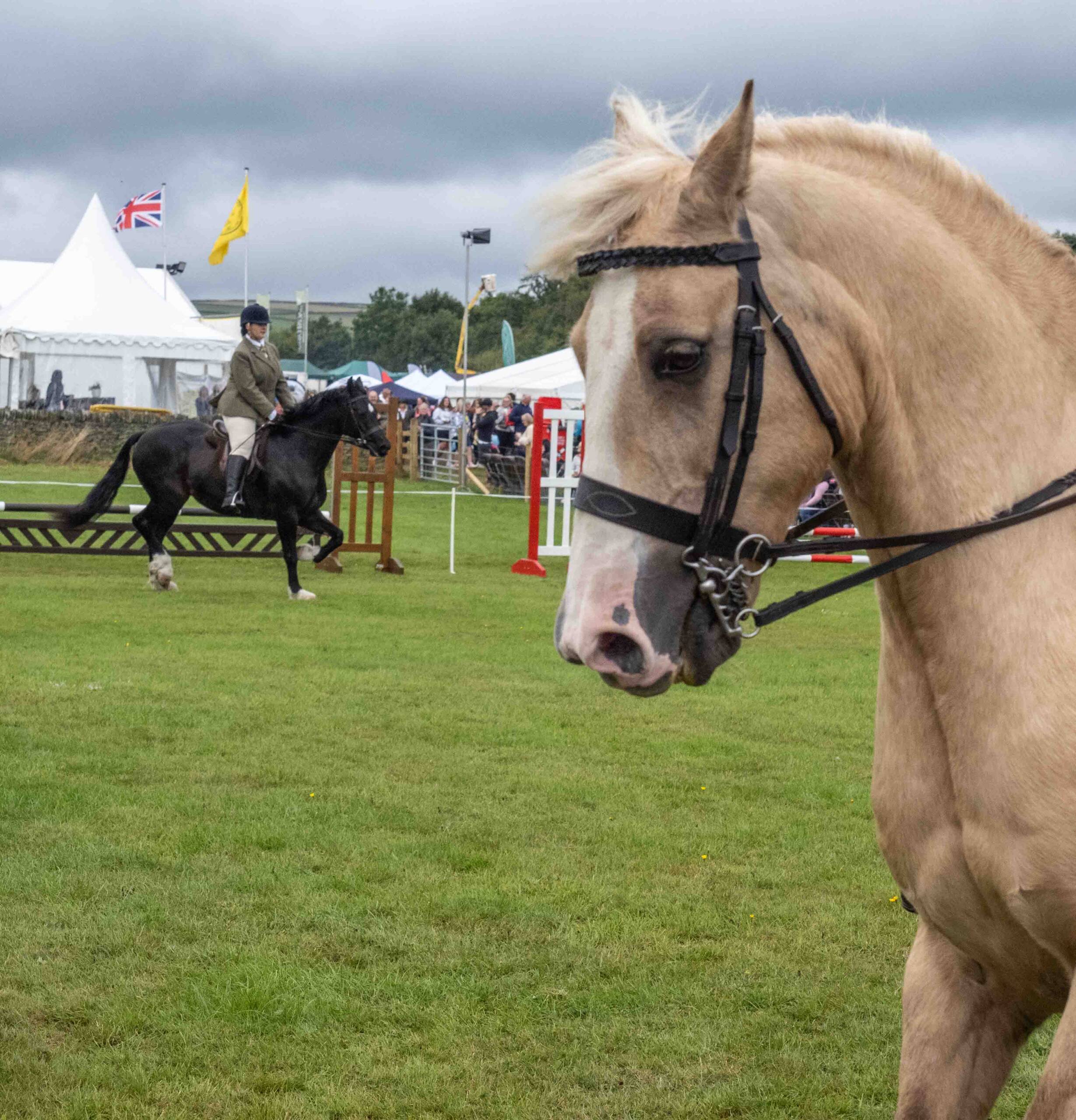 Penistone Agricultural Show 2022